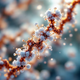 Biotinoyl Tripeptide-1