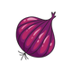 Estratto di cipolla